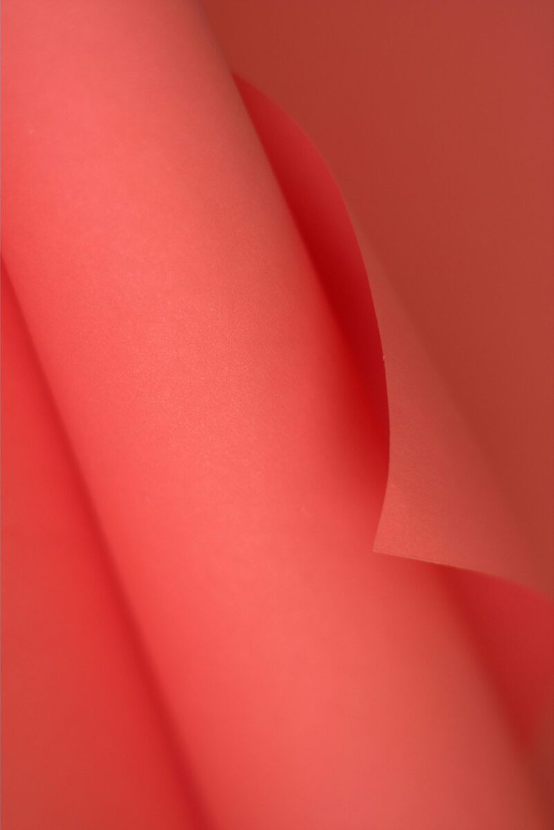 Close-up of rolled pink paper creating a minimalistic abstract background.